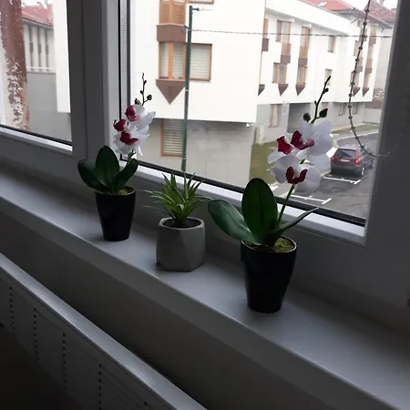 Lovely In Old Town 400m From Center Sebilj Apartman Sarajevo